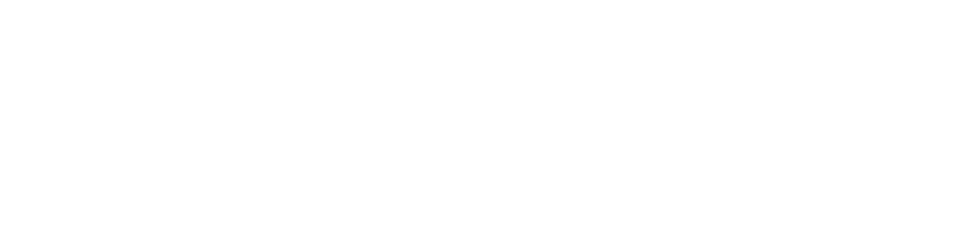 My Dolphin Express & Logistics LTD